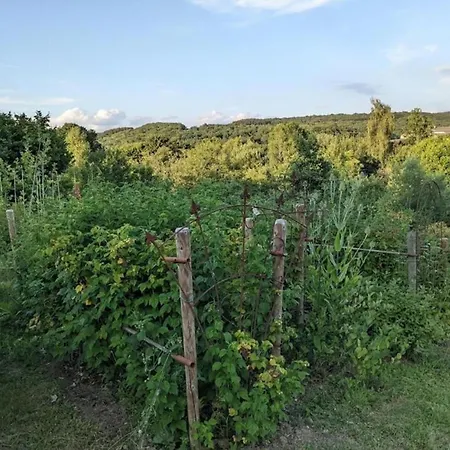 Haven With Private Garden *