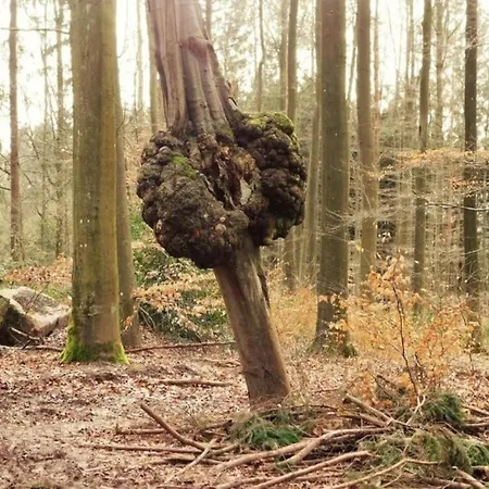 In A Quiet Location